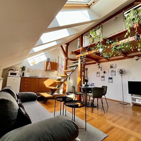 Captain Misha'S Place Belgrad Dış mekan fotoğraf