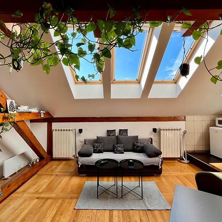 Captain Misha'S Place Belgrad Dış mekan fotoğraf