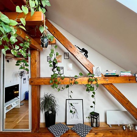 Captain Misha'S Place Belgrad Dış mekan fotoğraf
