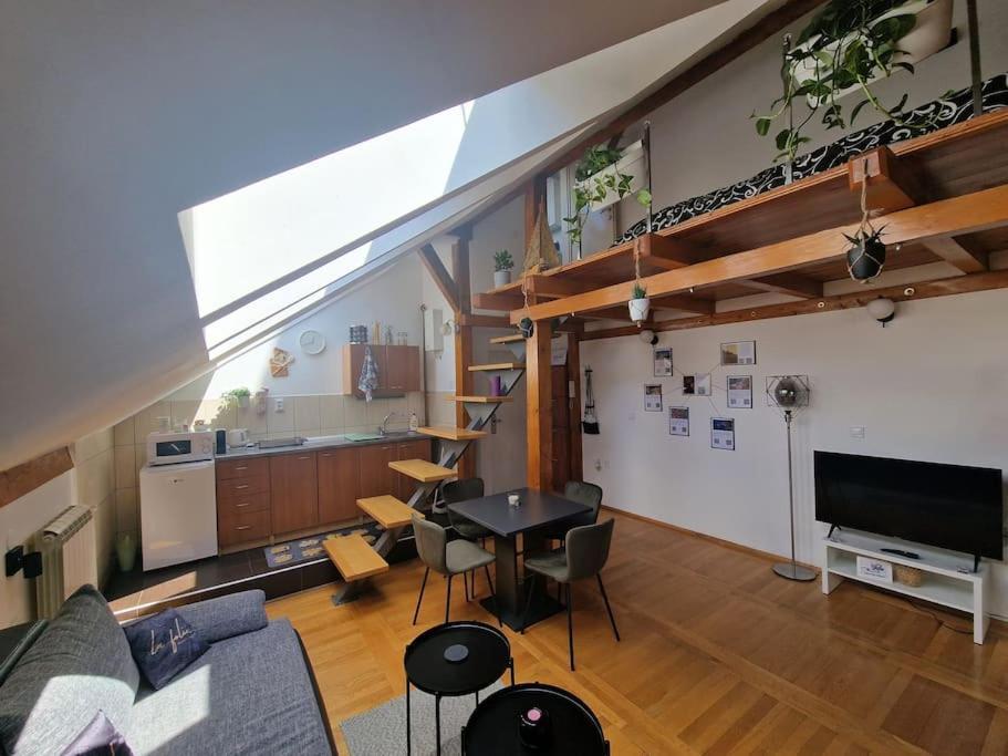 Captain Misha'S Place Belgrad Dış mekan fotoğraf