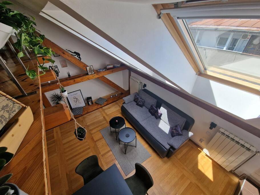 Captain Misha'S Place Belgrad Dış mekan fotoğraf
