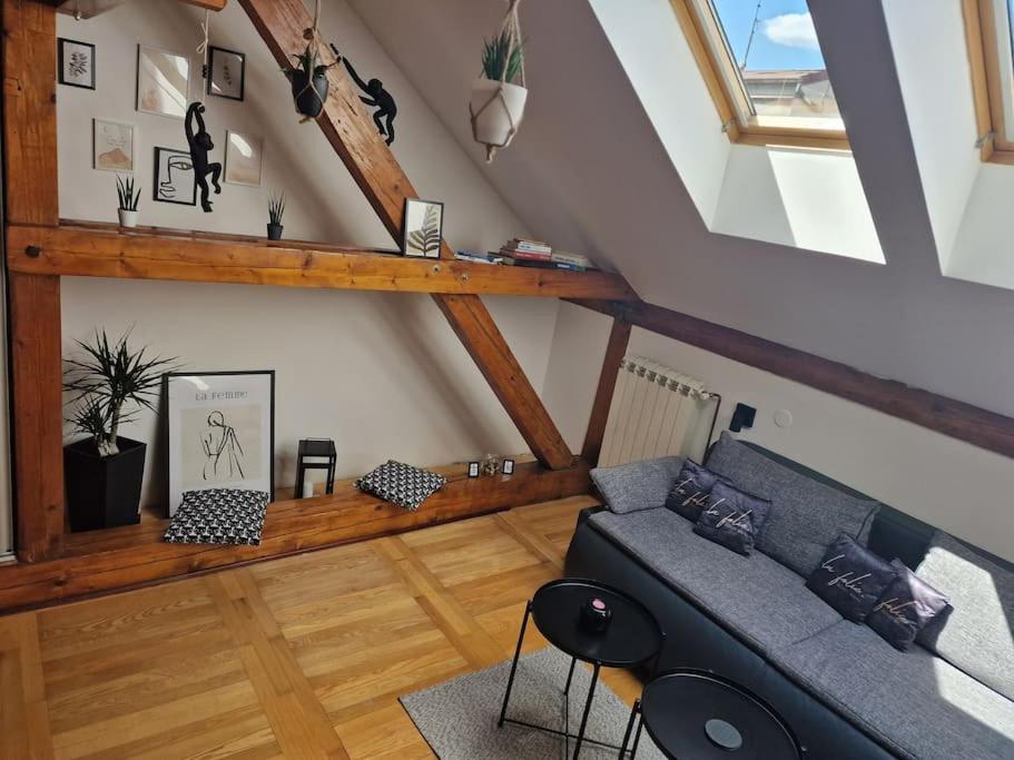 Captain Misha'S Place Belgrad Dış mekan fotoğraf