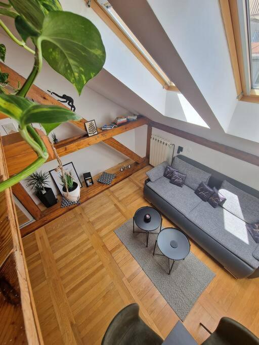 Captain Misha'S Place Belgrad Dış mekan fotoğraf