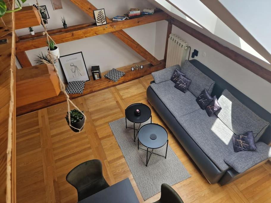 Captain Misha'S Place Belgrad Dış mekan fotoğraf