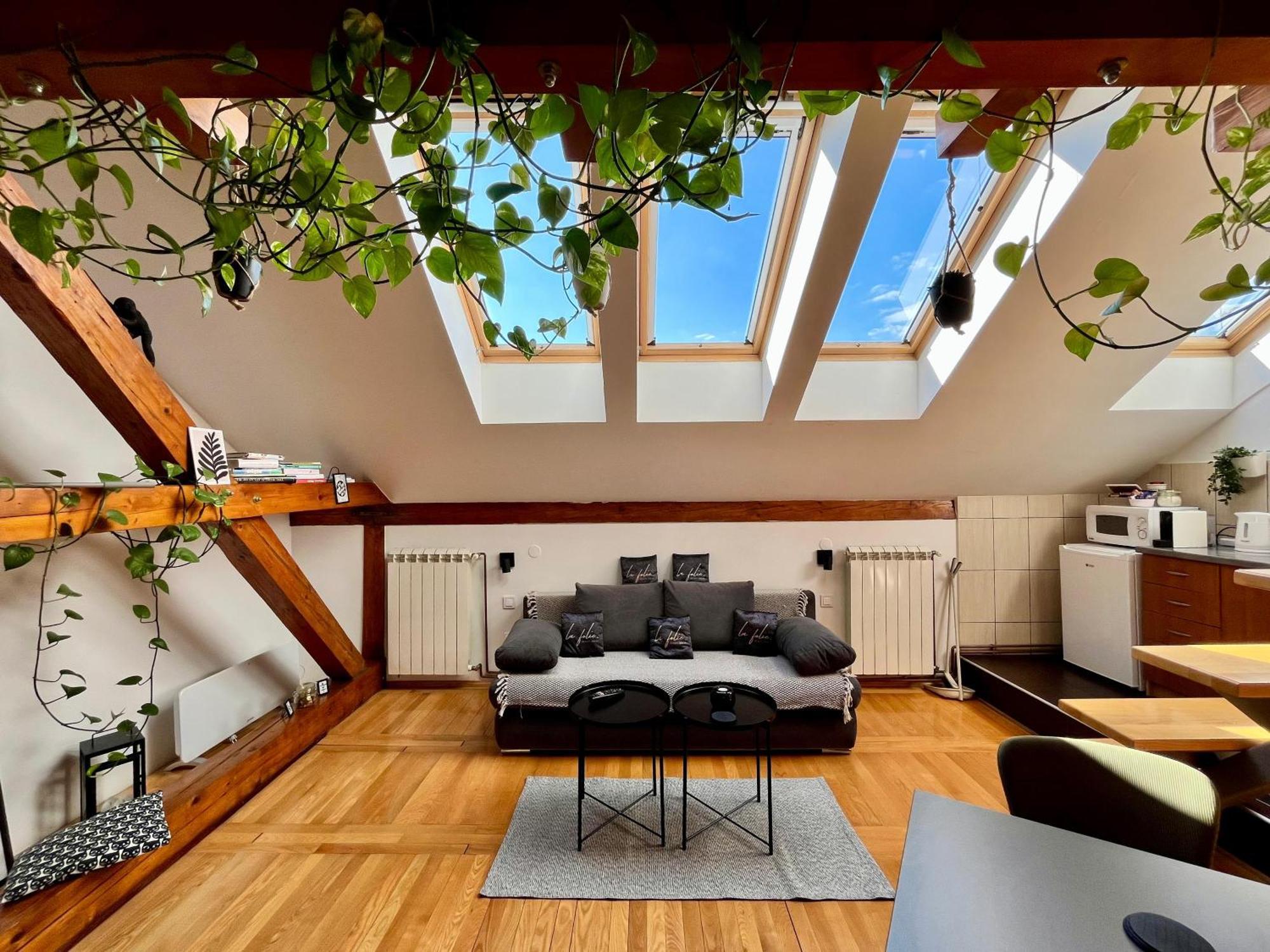 Captain Misha'S Place Belgrad Dış mekan fotoğraf