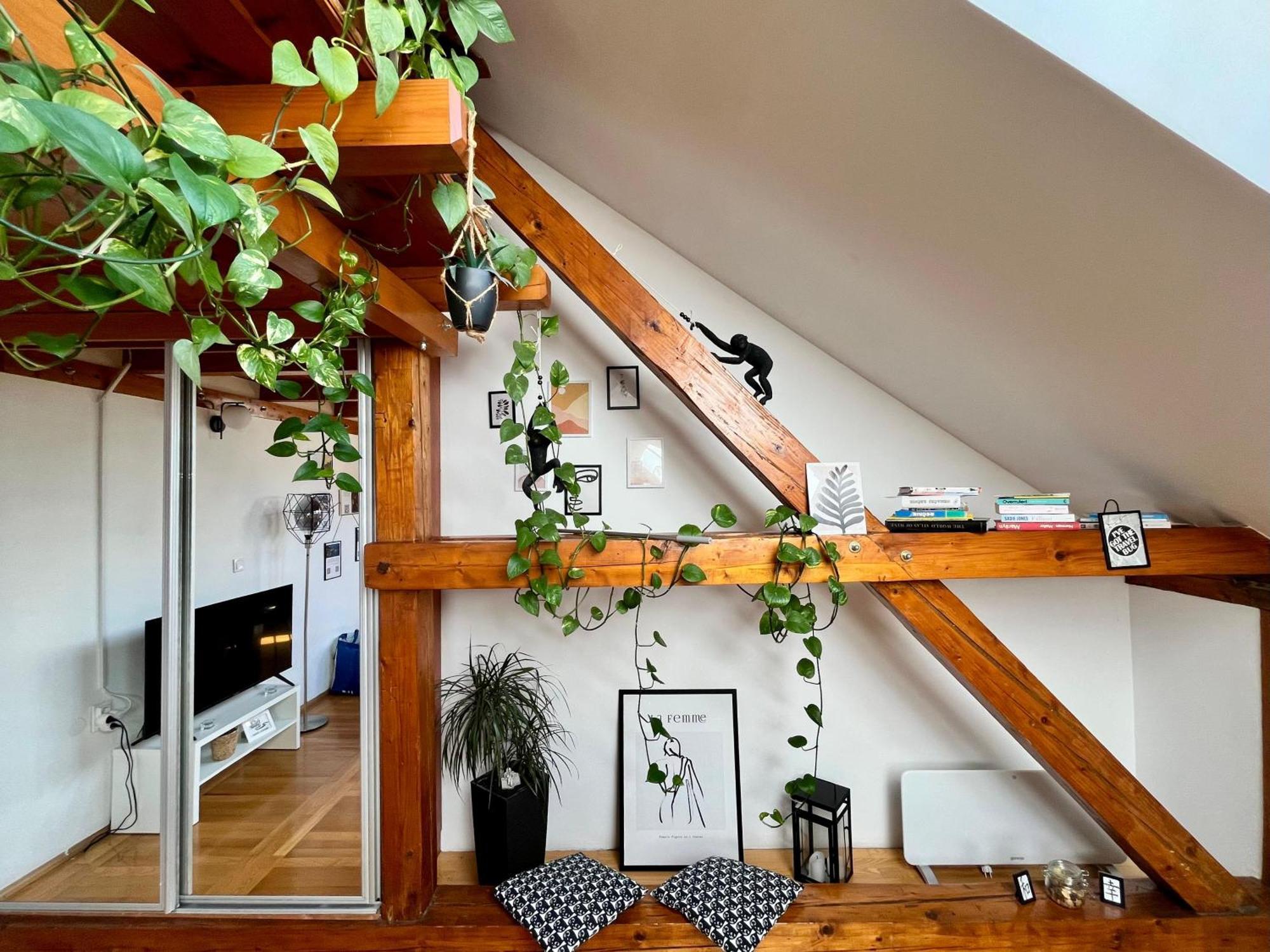 Captain Misha'S Place Belgrad Dış mekan fotoğraf